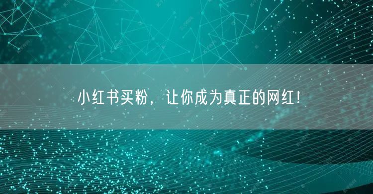 小红书买粉，让你成为真正的网红！