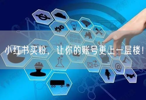 小红书买粉，让你的账号更上一层楼！