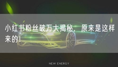 小红书粉丝破万大揭秘，原来是这样来的！