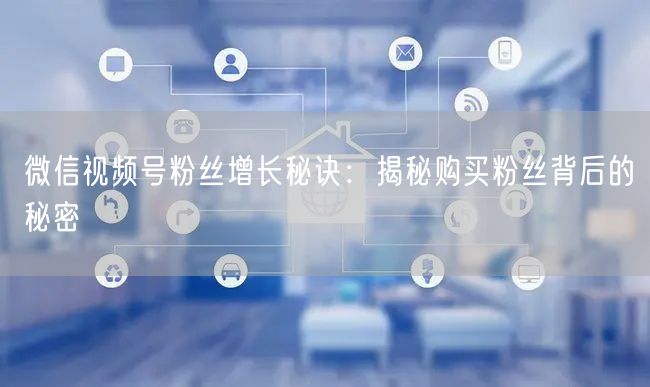 微信视频号粉丝增长秘诀：揭秘购买粉丝背后的秘密