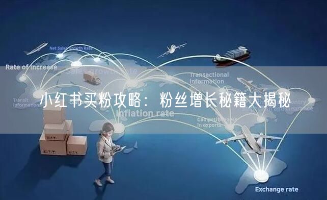小红书买粉攻略：粉丝增长秘籍大揭秘