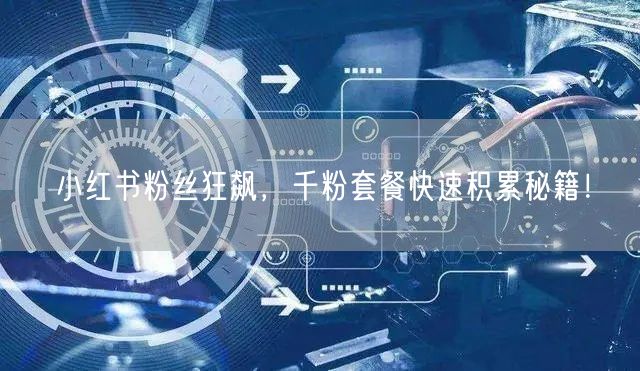 小红书粉丝狂飙，千粉套餐快速积累秘籍！