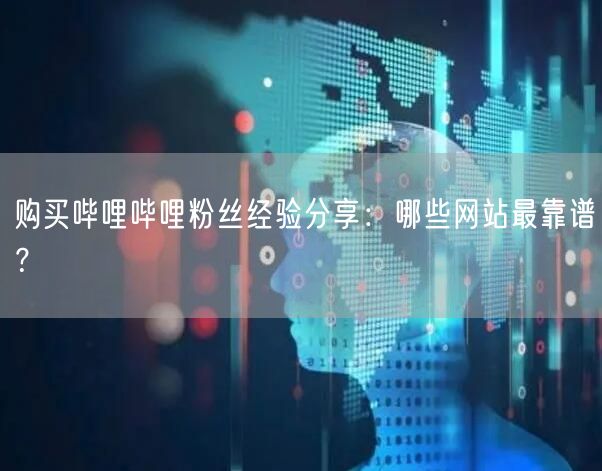 购买哔哩哔哩粉丝经验分享：哪些网站最靠谱？