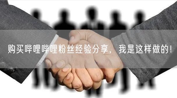 购买哔哩哔哩粉丝经验分享，我是这样做的！
