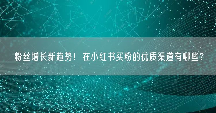 粉丝增长新趋势！在小红书买粉的优质渠道有哪些？