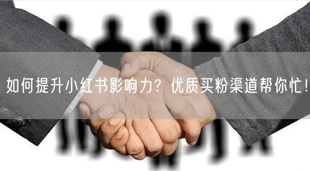 如何提升小红书影响力？优质买粉渠道帮你忙！