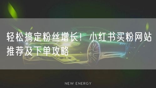 轻松搞定粉丝增长！小红书买粉网站推荐及下单攻略
