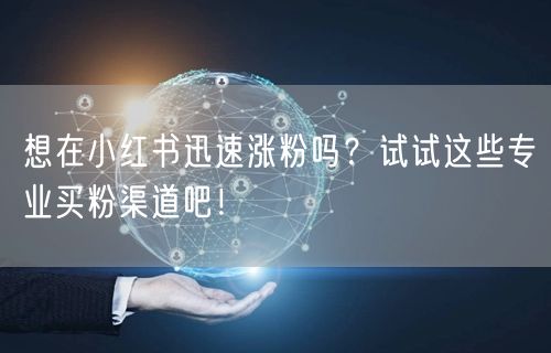 想在小红书迅速涨粉吗？试试这些专业买粉渠道吧！