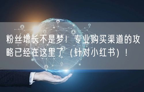 粉丝增长不是梦！专业购买渠道的攻略已经在这里了（针对小红书）!