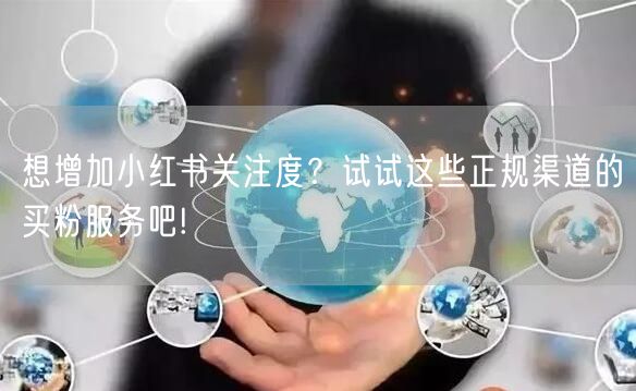 想增加小红书关注度？试试这些正规渠道的买粉服务吧!
