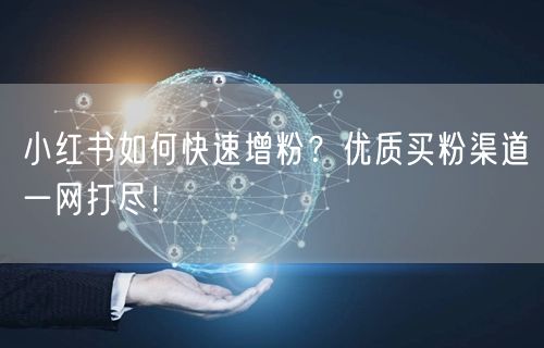 小红书如何快速增粉？优质买粉渠道一网打尽！