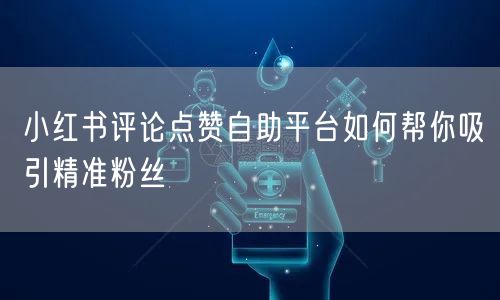 小红书评论点赞自助平台如何帮你吸引精准粉丝