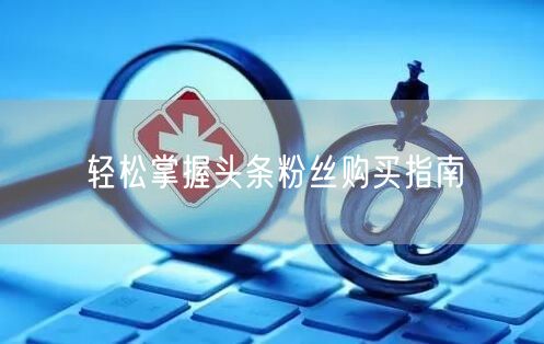 轻松掌握头条粉丝购买指南