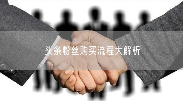 头条粉丝购买流程大解析