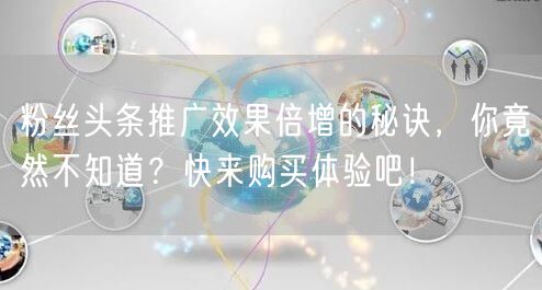 粉丝头条推广效果倍增的秘诀，你竟然不知道？快来购买体验吧！