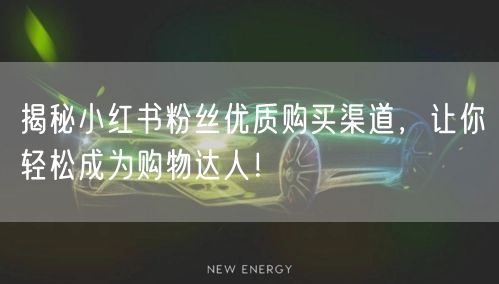 揭秘小红书粉丝优质购买渠道，让你轻松成为购物达人！