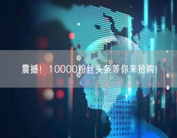 震撼！10000粉丝头条等你来抢购！