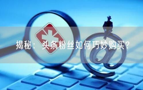 揭秘：头条粉丝如何巧妙购买？
