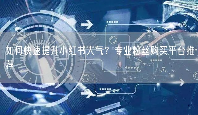 如何快速提升小红书人气？专业粉丝购买平台推荐