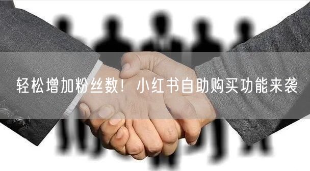 轻松增加粉丝数！小红书自助购买功能来袭