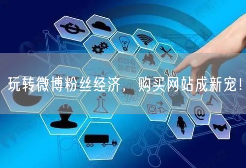 玩转微博粉丝经济，购买网站成新宠！