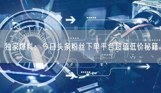 独家爆料：今日头条粉丝下单平台超值低价秘籍