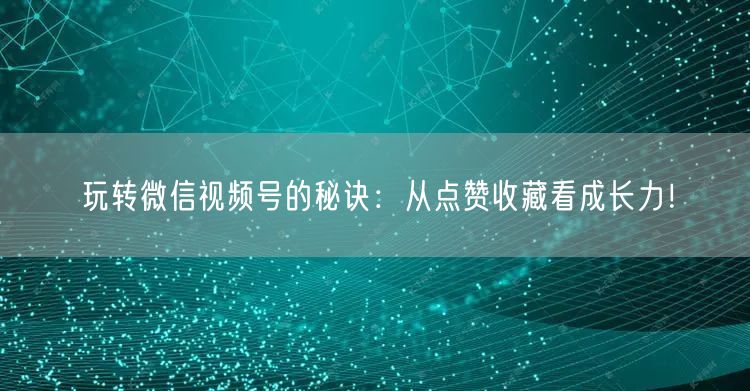 玩转微信视频号的秘诀：从点赞收藏看成长力！