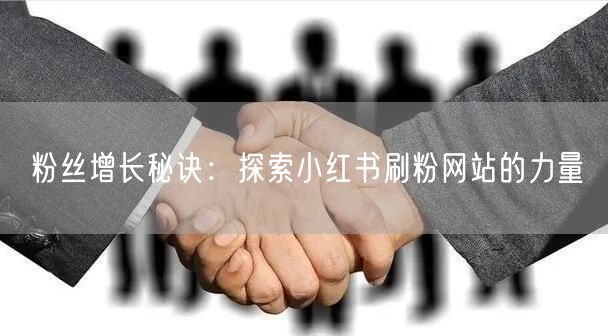 粉丝增长秘诀：探索小红书刷粉网站的力量