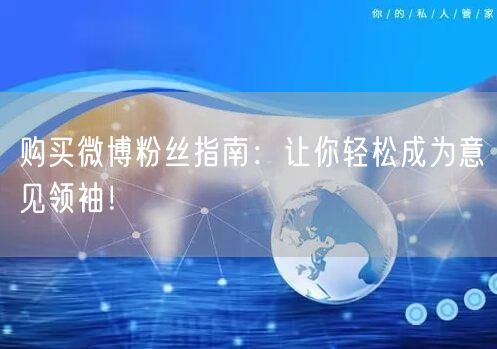 购买微博粉丝指南：让你轻松成为意见领袖！