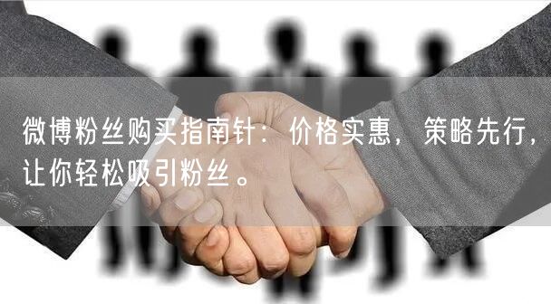 微博粉丝购买指南针：价格实惠，策略先行，让你轻松吸引粉丝。
