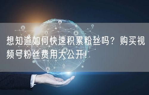 想知道如何快速积累粉丝吗？购买视频号粉丝费用大公开！