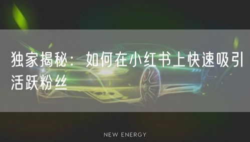独家揭秘：如何在小红书上快速吸引活跃粉丝