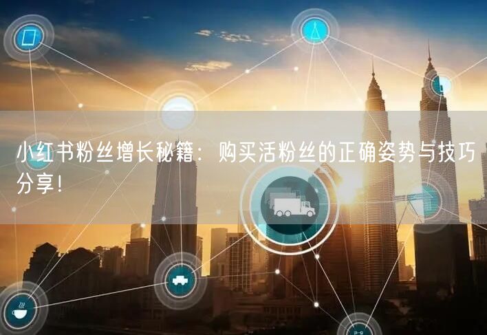 小红书粉丝增长秘籍：购买活粉丝的正确姿势与技巧分享！