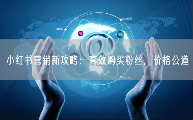 小红书营销新攻略：高效购买粉丝，价格公道