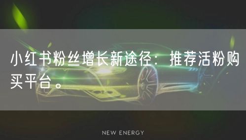 小红书粉丝增长新途径：推荐活粉购买平台。