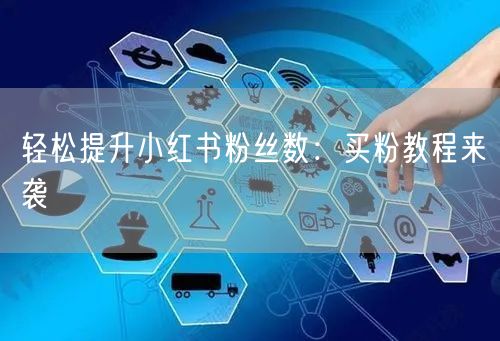 轻松提升小红书粉丝数：买粉教程来袭