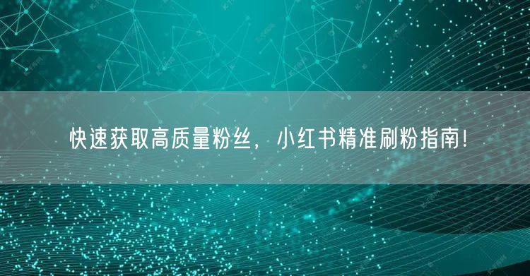 快速获取高质量粉丝，小红书精准刷粉指南！