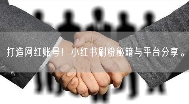 打造网红账号！小红书刷粉秘籍与平台分享。
