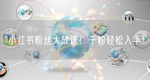 小红书粉丝大放送！千粉轻松入手！