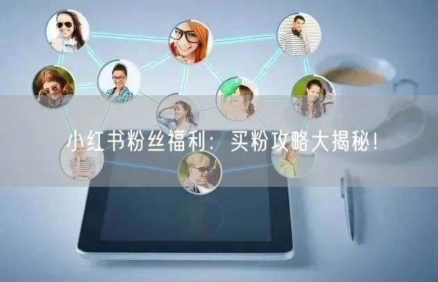 小红书粉丝福利：买粉攻略大揭秘！