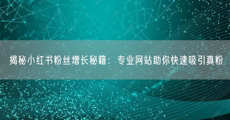 揭秘小红书粉丝增长秘籍：专业网站助你快速吸引真粉
