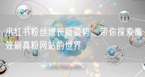 小红书粉丝增长新姿势：带你探索高效刷真粉网站的世界