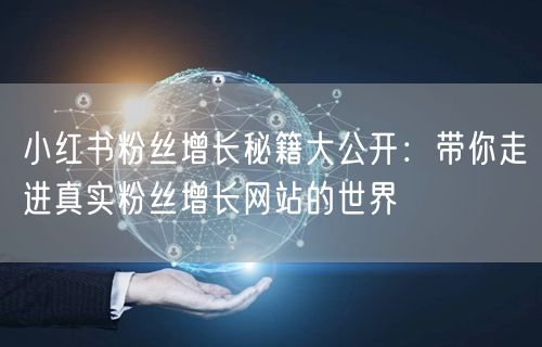 小红书粉丝增长秘籍大公开：带你走进真实粉丝增长网站的世界