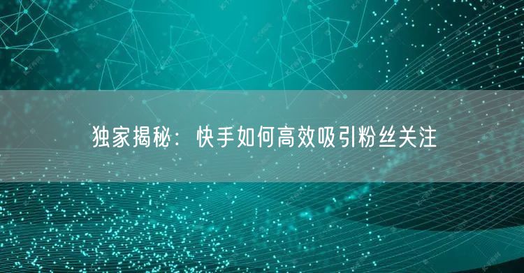 独家揭秘：快手如何高效吸引粉丝关注