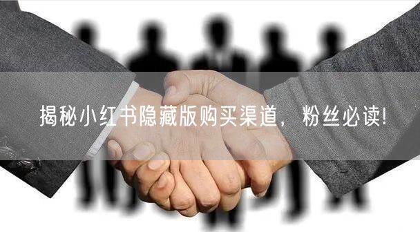 揭秘小红书隐藏版购买渠道，粉丝必读!
