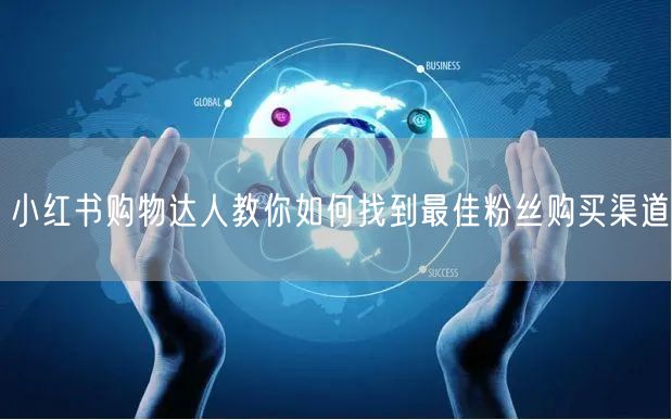 小红书购物达人教你如何找到最佳粉丝购买渠道