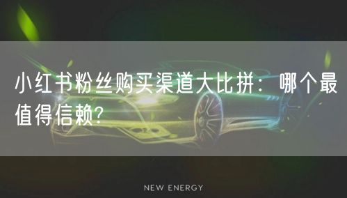 小红书粉丝购买渠道大比拼：哪个最值得信赖?