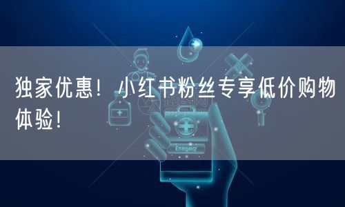 独家优惠！小红书粉丝专享低价购物体验！