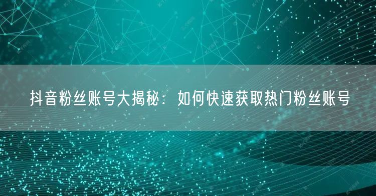 抖音粉丝账号大揭秘：如何快速获取热门粉丝账号