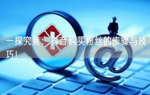 一探究竟：抖音购买粉丝的步骤与技巧！